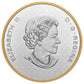 2022 5oz $1 THE BIGGER PICTURE: THE LOON FINE SILVER COIN