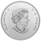 2022 50-CENT 5oz THE BIGGER PICTURE: THE COAT OF ARMS FINE SILVER COIN