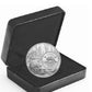 2022 5-CENT 5oz THE BIGGER PICTURE: THE BEAVER FINE SILVER COIN