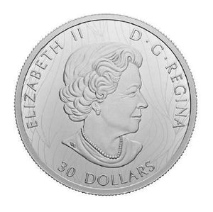 2022 $30 2oz THE MIGHTY BISON FINE SILVER COIN