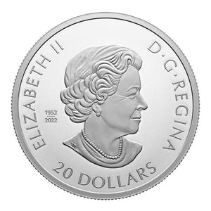 2023 1oz $20 REMEMBRANCE DAY FINE SILVER COIN