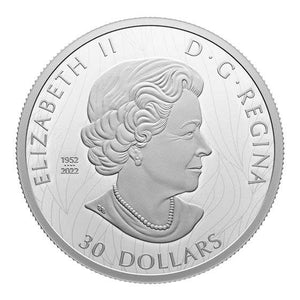 2023 2oz $30 THE STRIKING BALD EAGLE FINE SILVER COIN