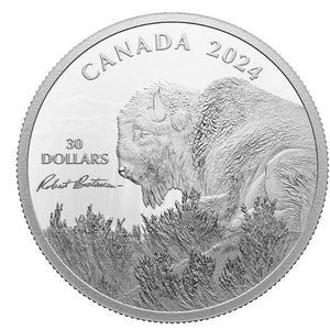 2024 2oz $30 WEATHER WATCH - BISON, BY ROBERT BATEMAN FINE SILVER COIN