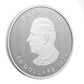 2024 5oz $50 ULTRA-HIGH RELIEF FINE SILVER COIN SML