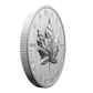 2024 5oz $50 ULTRA-HIGH RELIEF FINE SILVER COIN SML