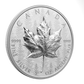 2024 5oz $50 ULTRA-HIGH RELIEF FINE SILVER COIN SML