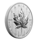 2024 5oz $50 ULTRA-HIGH RELIEF FINE SILVER COIN SML
