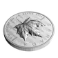2024 5oz $50 ULTRA-HIGH RELIEF FINE SILVER COIN SML