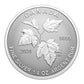 2024 CANADA'S AUTUMN BEAUTY FINE SILVER FRACTIONAL SET (1.9oz)
