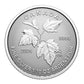 2024 CANADA'S AUTUMN BEAUTY FINE SILVER FRACTIONAL SET (1.9oz)