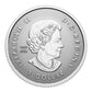 2024 CANADA'S AUTUMN BEAUTY FINE SILVER FRACTIONAL SET (1.9oz)
