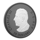 2025 1oz $20 ELEGANT MAPLE FINE SILVER COIN