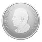 2026 1/2oz $10 WELCOME TO THE WORLD! FINE SILVER COIN