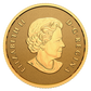 E-TRANSFER ONLY - 2022 $10 EVERLASTING MAPLE LEAF (1.58g)