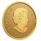 E-TRANSFER ONLY - 2022 $10 EVERLASTING MAPLE LEAF (1.58g)