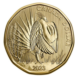2023 SPECIMEN SET GREATER SAGE-GROUSE