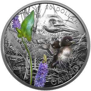 2016 1oz $20 BABY ANIMALS: COMMON LOON FINE SILVER COIN