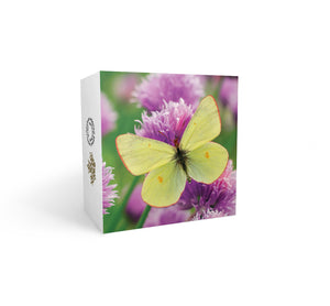 2015 1oz $20 BUTTERFLIES OF CANADA - GIANT SULPHUR (COLIAS GIGANTEA) FINE SILVER COIN
