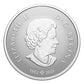 SALE - 2024 1/2oz $10 WELCOME TO THE WORLD BABY FEET FINE SILVER COIN (RECAPSULED, NO BOX LID)