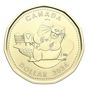 2024 BORN IN GIFT CARD SET