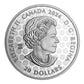 2024 1OZ PURE SILVER CELEBRATING CANADA'S DIVERSITY: TRANSCENDENCE AND TRANQUILITY