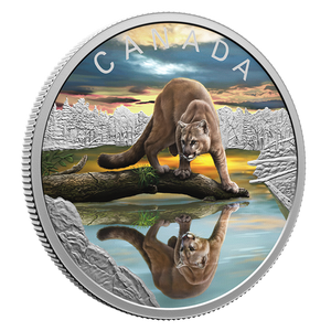 2024 1oz $20 WILDLIFE REFLECTIONS: COUGAR FINE SILVER COIN