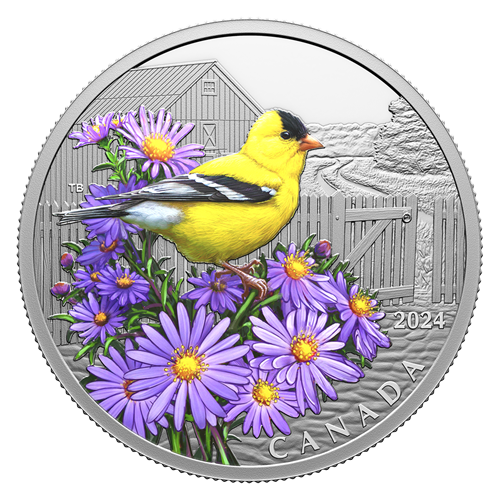 2024 1oz $20 COLOURFUL BIRDS: AMERICAN GOLDFINCH FINE SILVER COIN