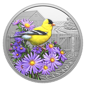 2024 1oz $20 COLOURFUL BIRDS: AMERICAN GOLDFINCH FINE SILVER COIN