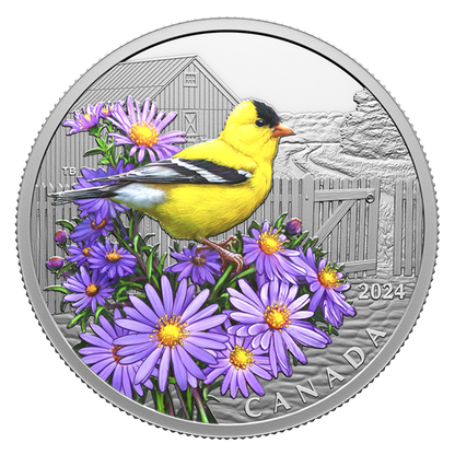2024 1oz $20 COLOURFUL BIRDS: AMERICAN GOLDFINCH FINE SILVER COIN