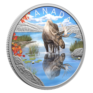 2024 1oz $20 WILDLIFE REFLECTIONS: MOOSE FINE SILVER COIN