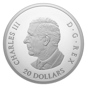 2024 1oz $20 REMEMBRANCE DAY FINE SILVER COIN