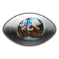 2025 1oz $20 DINOSAUR EYE FINE SILVER COIN