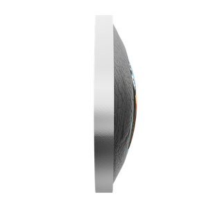 2025 1oz $20 DINOSAUR EYE FINE SILVER COIN