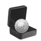 2025 1oz $20 80TH ANNIVERSARY OF THE END OF THE SECOND WORLD WAR EUROPE