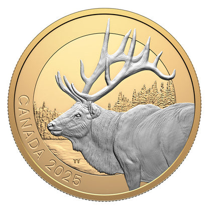 2025 1oz $20 ANIMAL PORTRAITS: ELK FINE SILVER COIN