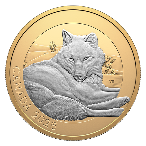2025 1oz $20 ANIMAL PORTRAITS: GREY WOLF FINE SILVER COIN