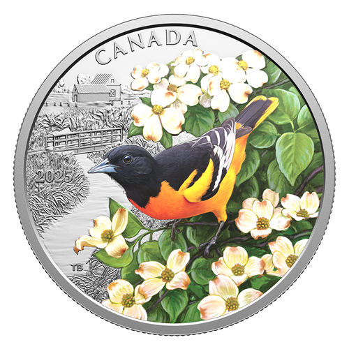 2025 1oz $20 COLOURFUL BIRDS: BALTIMORE ORIOLE FINE SILVER COIN