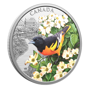 2025 1oz $20 COLOURFUL BIRDS: BALTIMORE ORIOLE FINE SILVER COIN