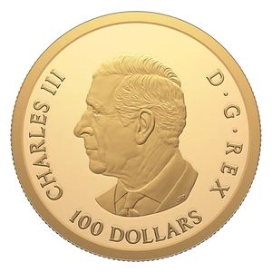 2026 $100 Lunar Year of the Horse 1/2 oz pure gold coin - obverse