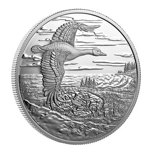 2025 1oz $20 INTERCONNECTED NATURE FINE SILVER COIN