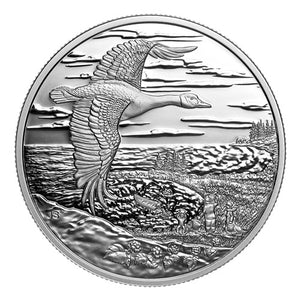 2025 1oz $20 INTERCONNECTED NATURE FINE SILVER COIN