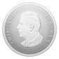 2025 1oz $20 REMEMBRANCE DAY FINE SILVER COIN