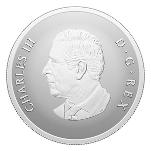 2025 1oz $20 REMEMBRANCE DAY FINE SILVER COIN