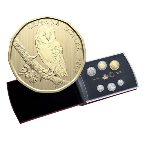 2026 BARN OWL SPECIMEN SET