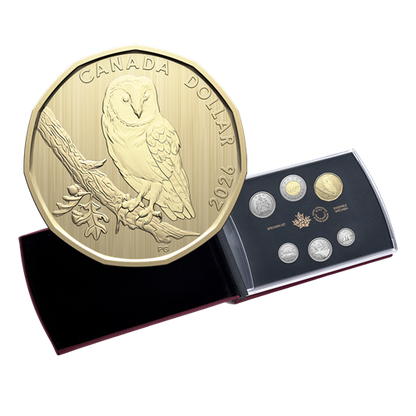2026 BARN OWL SPECIMEN SET