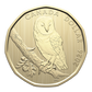2026 BARN OWL SPECIMEN SET