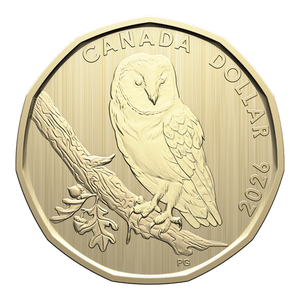 2026 BARN OWL SPECIMEN SET