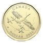2026 O CANADA GIFT SET