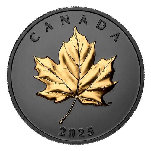 2025 1oz $20 GILDED ELEGANT MAPLE FINE SILVER COIN