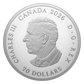2026 1oz $20 TURTLE ISLAND FINE SILVER COIN